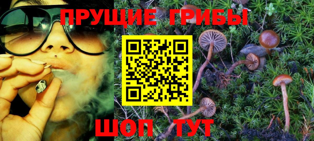 Галлюциногенные грибы Magic Shrooms  Вход с VPN  Орехово-Зуево  Псилоцибиновые грибы Psilocybe 