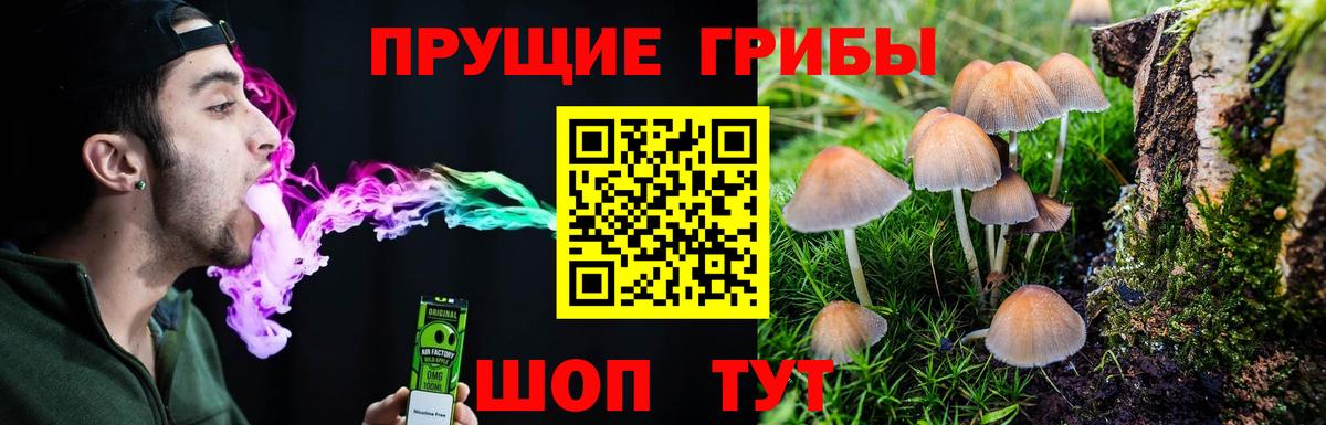 ГАШ  Орехово-Зуево  LSD-25  Вход с VPN  МЕФ кристаллы  Каннабис 