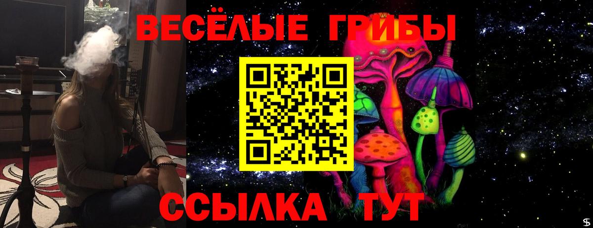 Галлюциногенные грибы прущие грибы Орехово-Зуево
